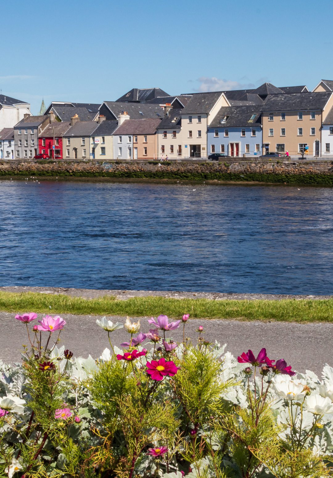 This is an image of a picturesque riverside scene in Galway, Ireland. In the foreground, there are vibrant flowers in shades of pink, magenta, and white blooming under a clear blue sky. Beyond the flowers, the calm river reflects the light of the sun. Across the river, a row of charming two- and three-story houses with varying facades, including one painted bright red, lines the far bank. The houses have dark roofs and white trim, adding to the colorful, quaint urban landscape.