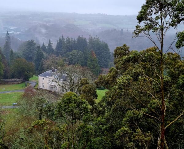 A misty, tree-covered landscape surrounds a stately white house nestled in the hills of Avondale Forest Park, Ireland. The fog rolls gently through the trees, creating a peaceful and dreamy woodland scene.