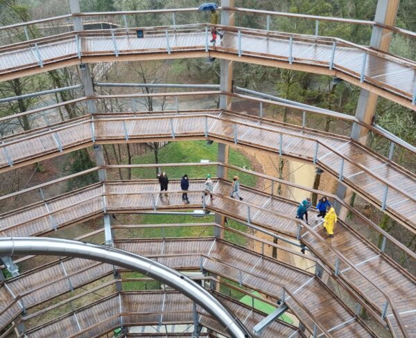 View of the spiraling Avondale Treetop Walk in County Wicklow, Ireland, with visitors walking along the wooden ramps surrounded by tall trees. A long metal slide winds down through the center of the structure.