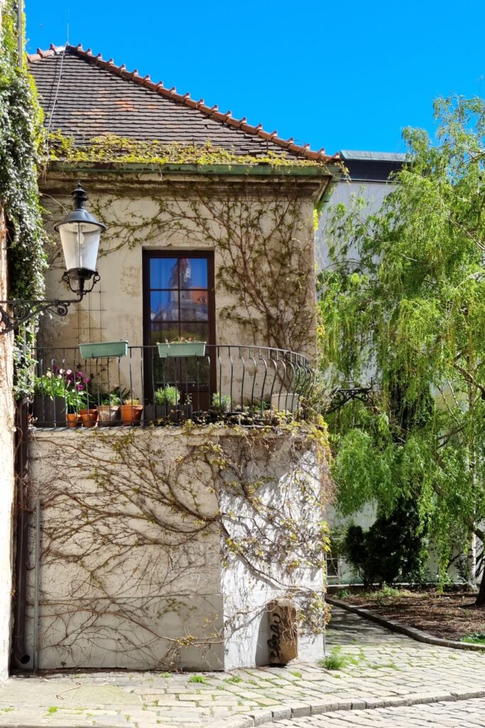 A quaint, ivy-clad building with a balcony full of flower pots, nestled in a quiet corner of Bratislava’s Old Town; the window reflects a nearby church tower.