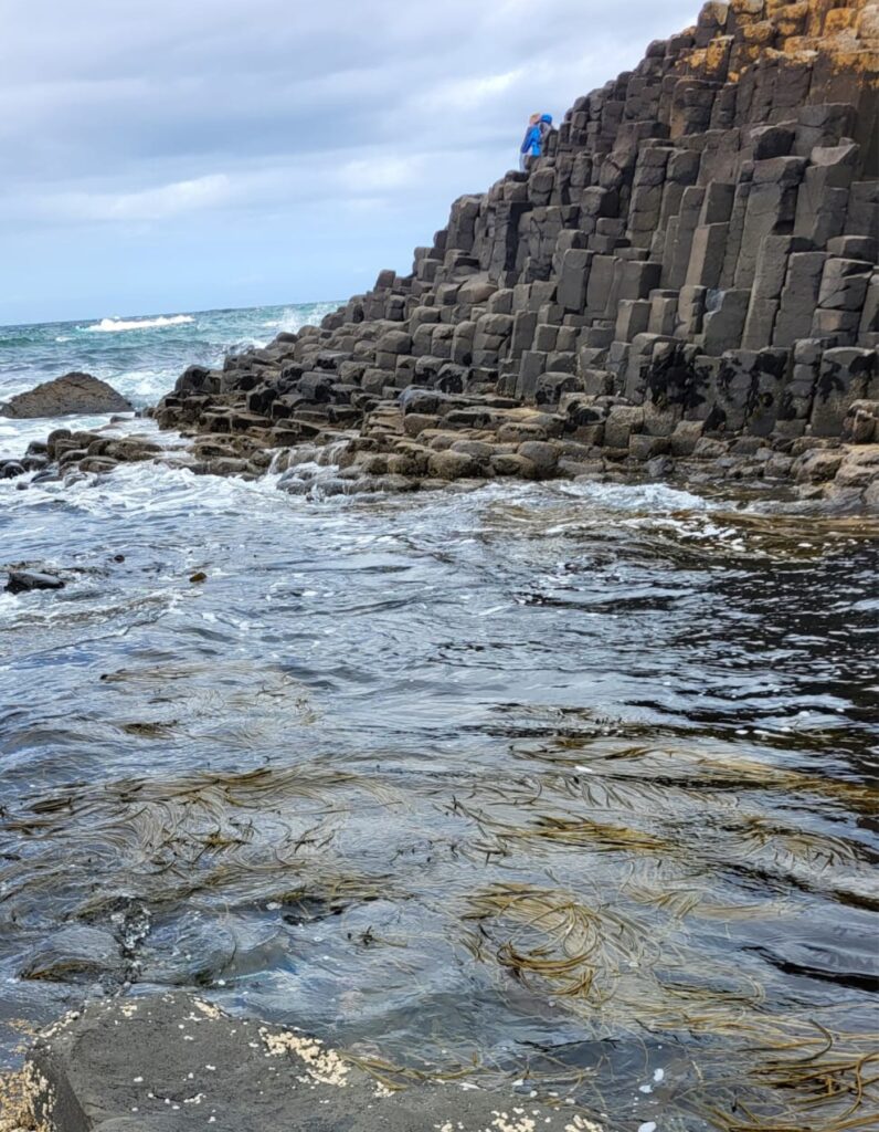 A visitor in a blue jacket climbs the tall basalt columns of the Giant’s Causeway in Northern Ireland, where the geometric rock formations meet the swirling coastal waters. The ocean crashes gently against the dark rocks under a cloudy sky