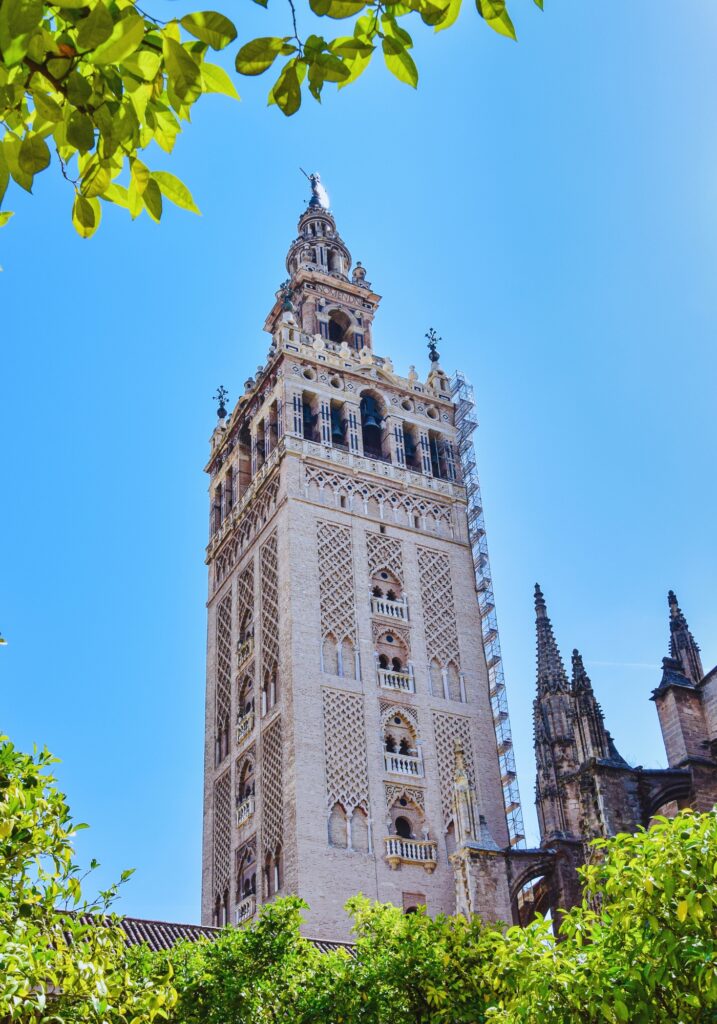 The Giralda bell tower rises against a bright blue sky, framed by green orange tree leaves. The tower showcases a mix of Moorish and Gothic architectural styles, part of Seville Cathedral.