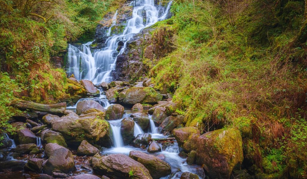 Torc Waterfall in Killarney, Ireland, cascades over mossy rocks in a lush forest setting. The water flows in soft white streams down the layered stones, surrounded by rich green vegetation and fallen logs.