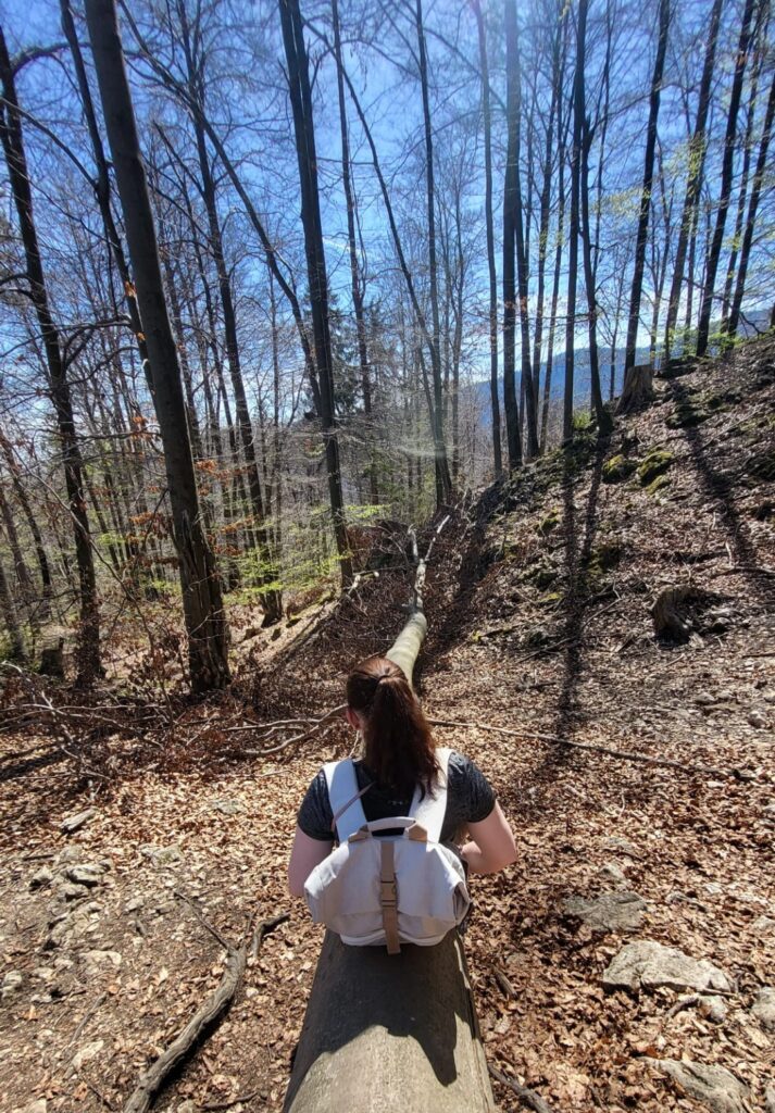 Sitting on a fallen tree trunk in a forest, facing away as she looks down a wooded slope. Bare and budding trees stretch toward the sky under bright daylight.