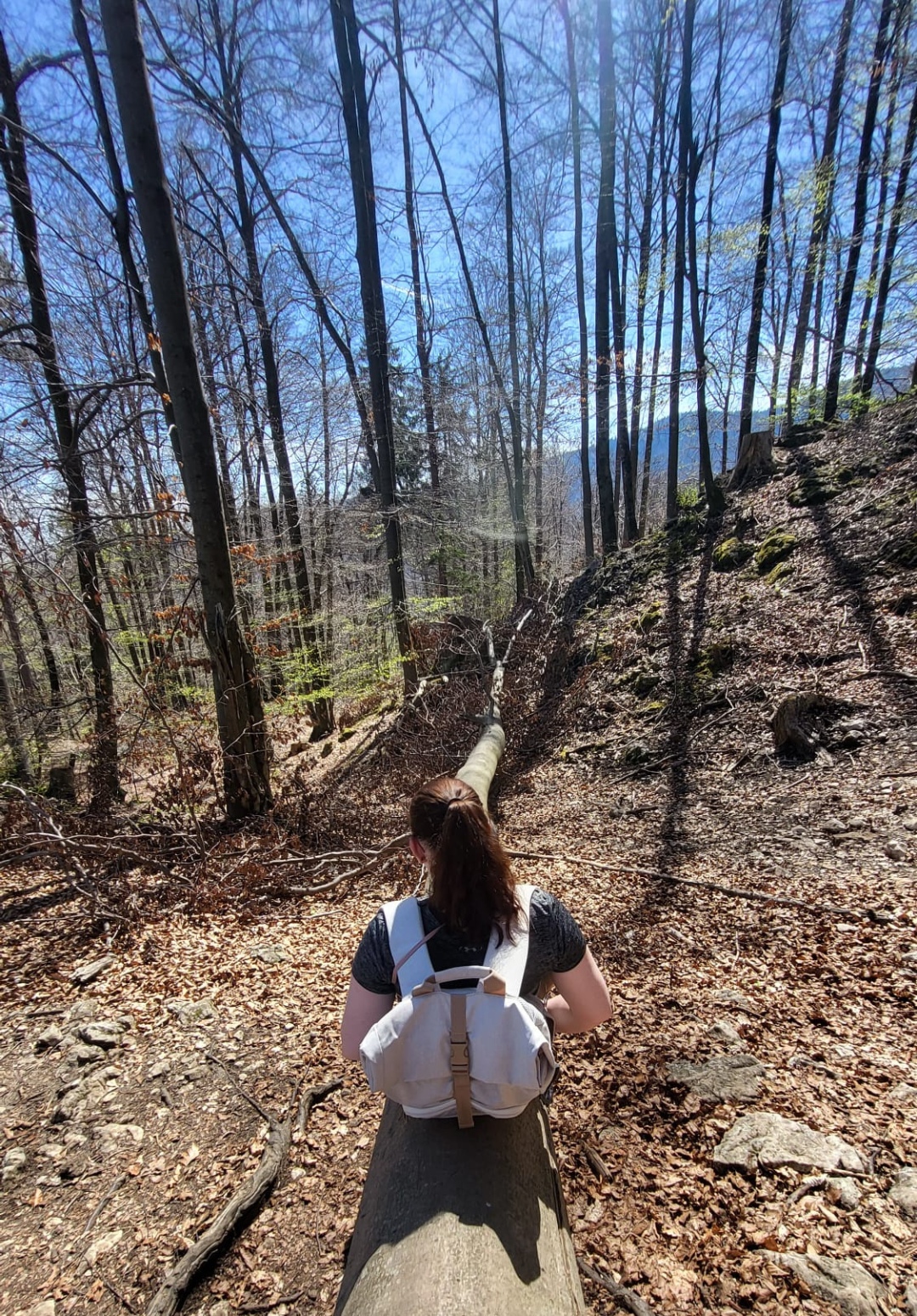 Sitting on a fallen tree trunk in a forest, facing away as she looks down a wooded slope. Bare and budding trees stretch toward the sky under bright daylight.