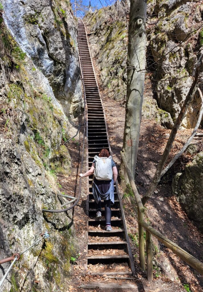 Me climbing a long wooden staircase set between rocky cliffs in a forest. The steep steps are flanked by railings, and sunlight filters through the narrow path.