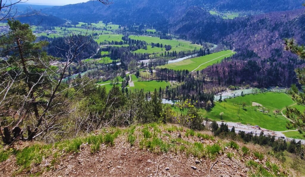 A sweeping view from a forested cliff reveals a lush green valley dotted with fields, winding roads, and a meandering river. The scene is framed by trees in the foreground and backed by rolling hills and distant ridgelines under a bright spring sky.