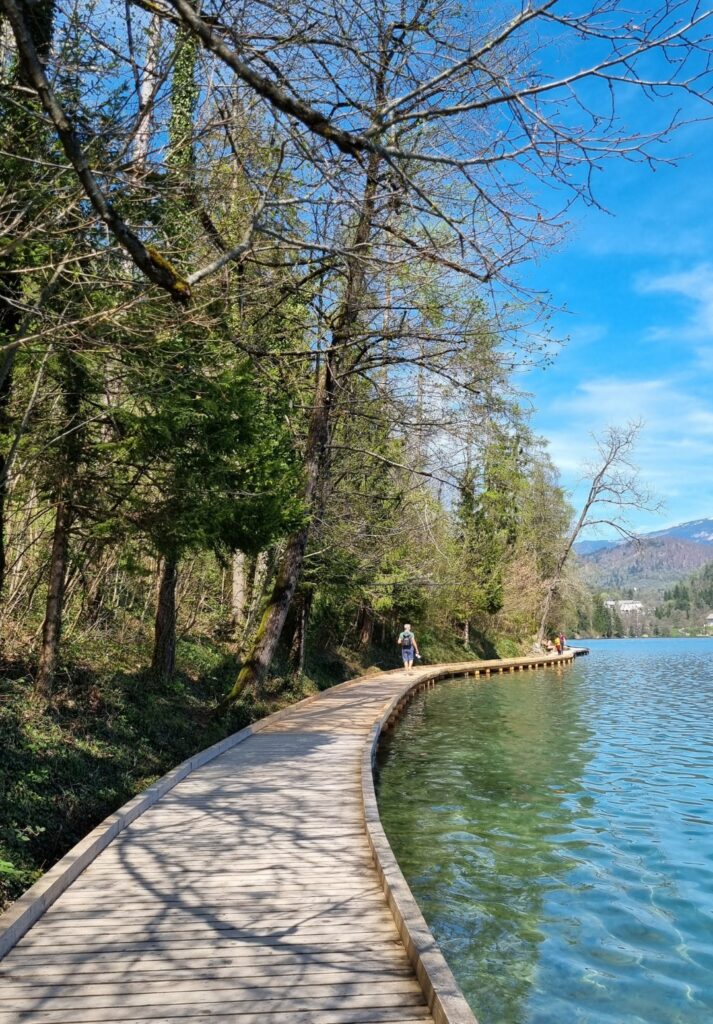 A winding wooden boardwalk hugs the edge of Lake Bled, surrounded by tall trees with early spring foliage and clear, green-tinted water. A few people walk leisurely along the path under a bright blue sky, with distant mountains visible in the background.