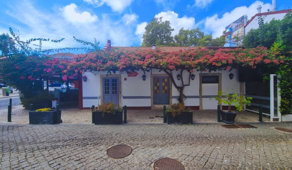 Quaint whitewashed building with red trim and pale blue doors in Cascais, Portugal, covered in lush flowering vines that spill across the roof and walls, set along a cobblestone street under a bright blue sky.
