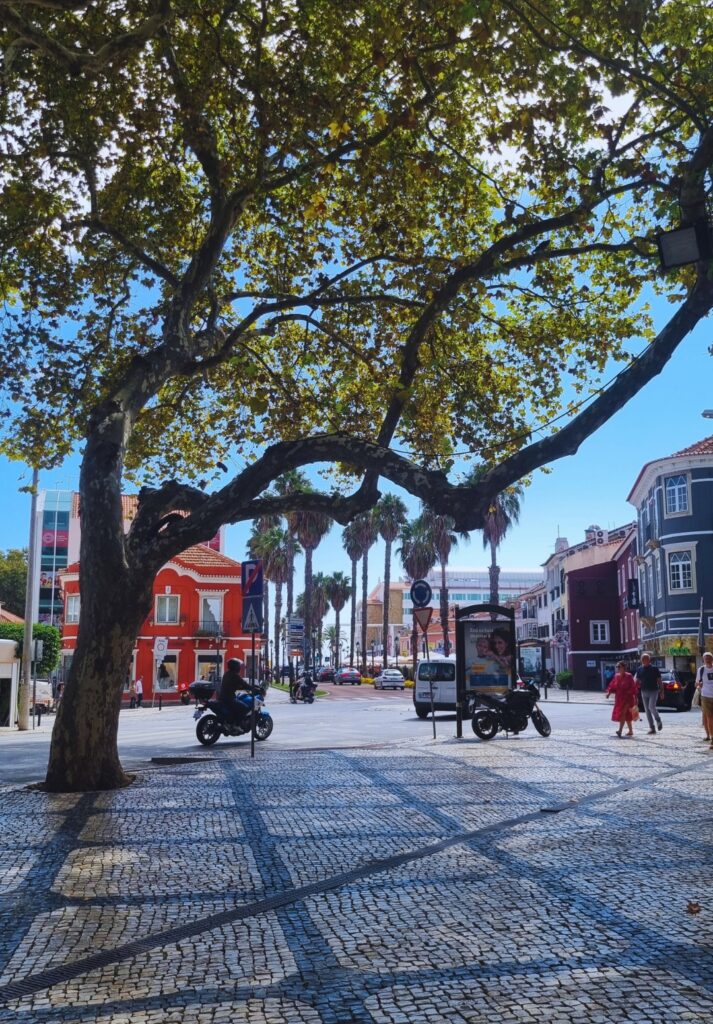 Sunny street scene in Cascais, Portugal, with a large tree arching over a tiled pedestrian area, colorful buildings, palm trees in the distance, and people walking or riding scooters.