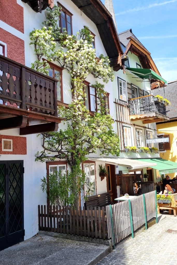 Charming street view in Hallstatt, Austria, featuring a flowering tree trained to grow along the facade of a pastel-colored alpine building. Wooden balconies with heart-cut railings and small outdoor café seating add to the cozy village feel, perfect for a relaxed Hallstatt day trip.