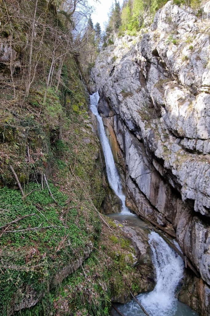 Rushing waterfall cascading through a rocky gorge surrounded by mossy cliffs and early spring vegetation near Hallstatt, Austria. The narrow stream flows powerfully between steep stone walls before pooling below.