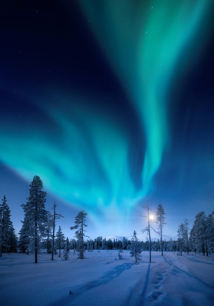 Bright blue and green northern lights fan across a snowy forest at night, with tall pine trees and footprints leading through the snow.