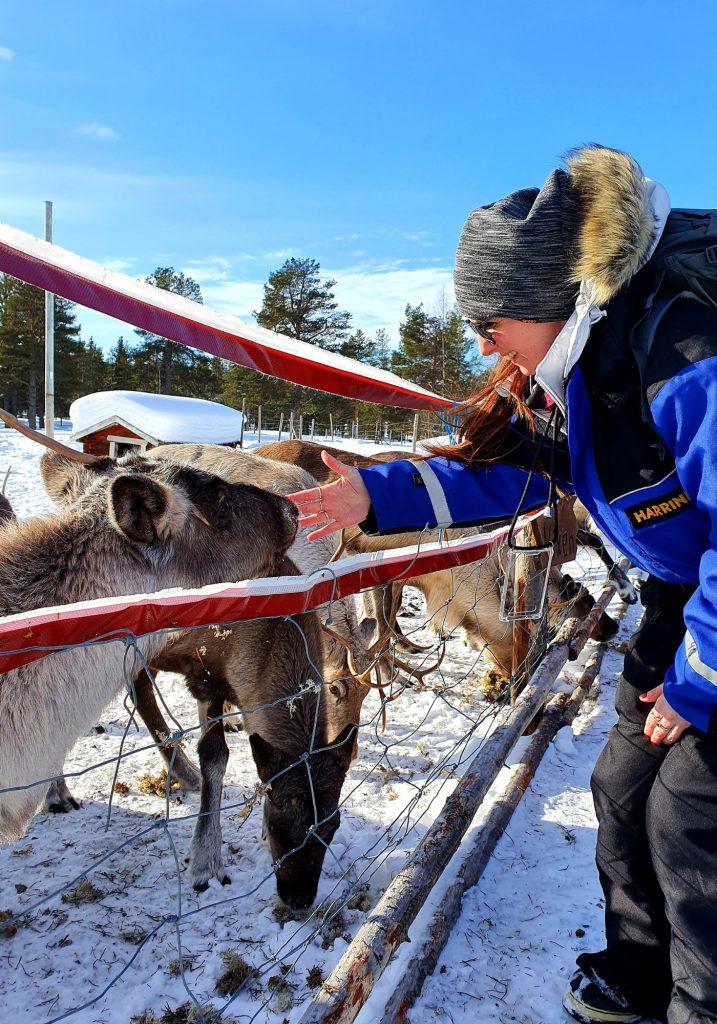 A woman in a blue winter suit reaches out to pet a reindeer through a fence in a snowy paddock.