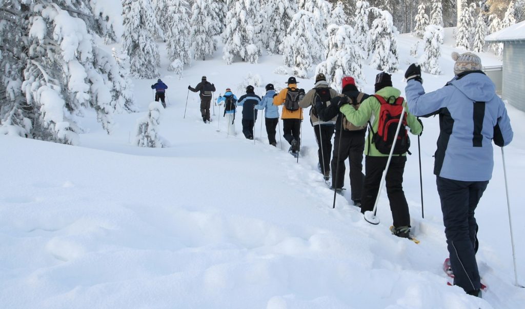 A group of people snowshoe in a single line through deep snow and snow covered trees.
