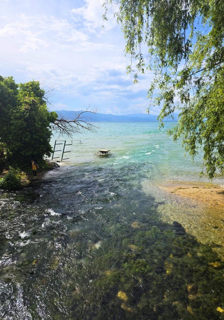 Clear spring water flows into Lake Ohrid beneath overhanging trees with small waves moving across the turquoise shoreline.