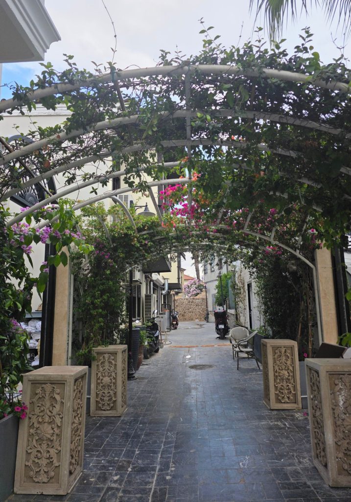 Narrow pedestrian lane in Antalya beneath white arched trellises covered with green vines and pink and purple flowers. Ornate stone planters frame the walkway leading toward parked scooters and old stone walls.