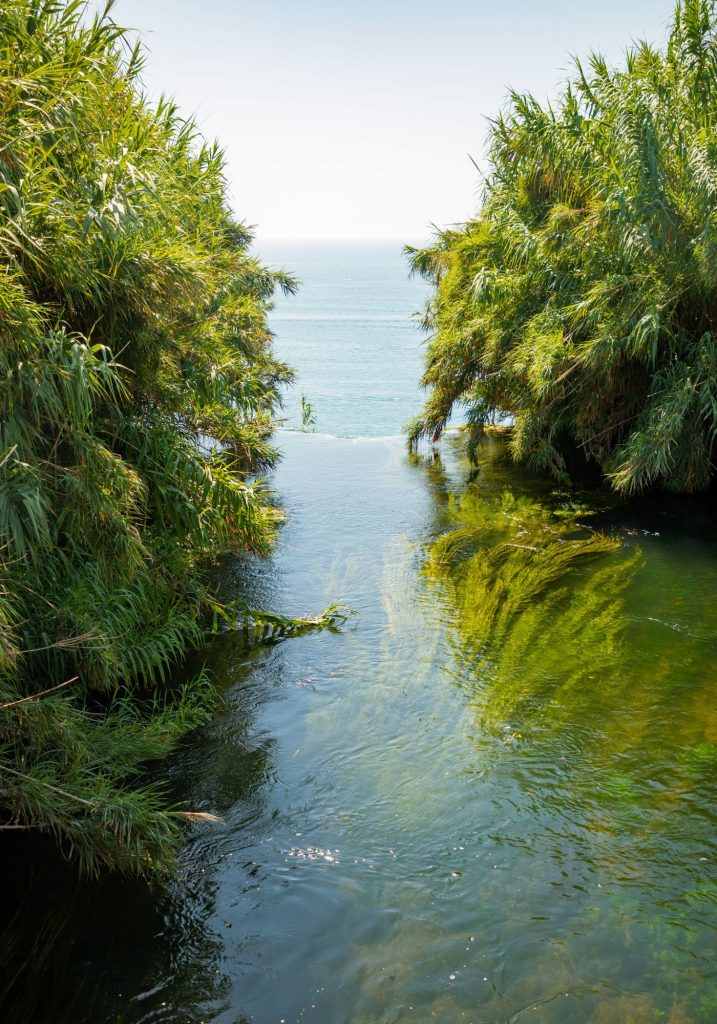 A calm river flows between dense green reeds toward the Mediterranean Sea in Antalya. Sunlight reflects across the clear water as the coastline opens beyond the vegetation.
